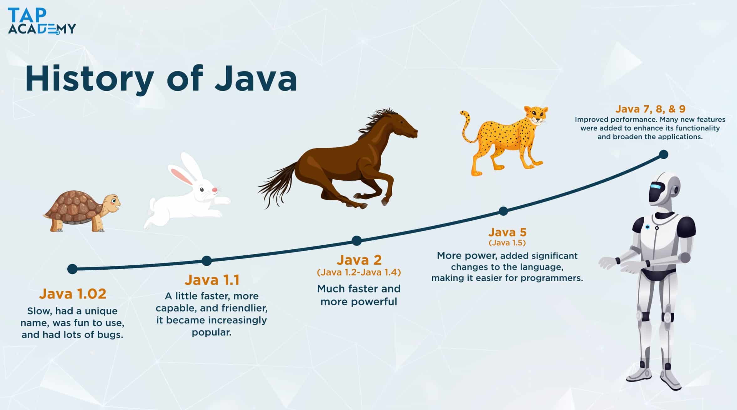 history of java language