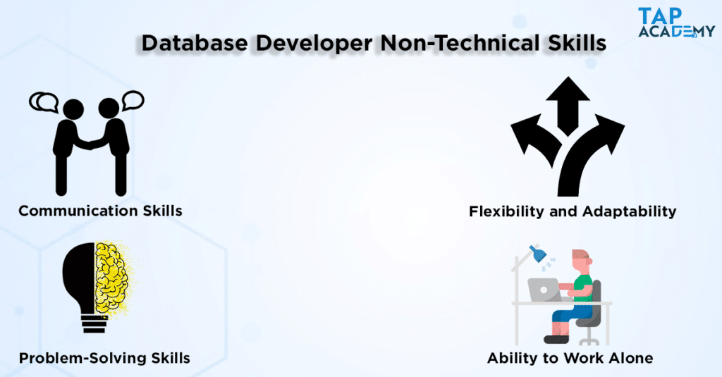Database Developer Non-Technical Skills