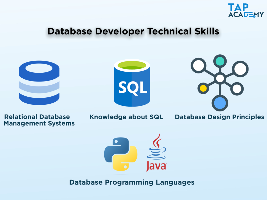 Database Developer Skills